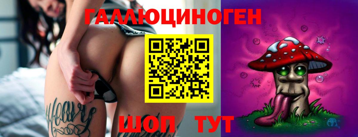 Галлюциногенные грибы Psilocybe  Вход с VPN  Абакан 